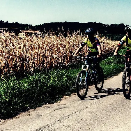 Lch-lateran Charming House Rome